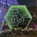 수피아어린이집 | 부천 수피아 식물원 야간개장 후기, 예약 (+입장료 꿀팁)