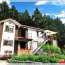 초리꽃펜션 이미지