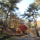 만수산자연휴양림 이미지