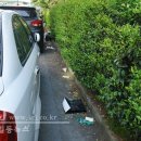 김대중컨벤션센터 이미지