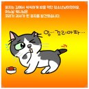 꽁지 네이버블로그