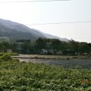 바라보다민박 이미지