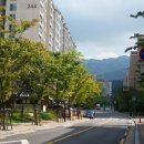 금성당 - 영동군 계산로2길 2 | 금성당