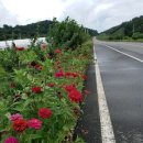 태양 양봉원 이미지