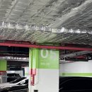 블루밍 태권도장 | 2024 케이펫페어 서울 코엑스 솔직 후기(8/23~25)코엑스 주차비 / 전시장 길 안내 꿀팁 / 입장료