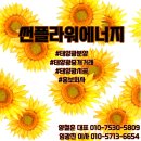 선플라워태양광발전소 이미지