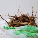 문장로22길-1 이미지