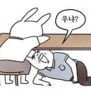 꼬시나