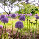 도심 속 12만 평 초록 물결, 역대급 &#39;서울국제정원박람 이미지