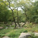 진안고원치유의숲 이미지