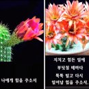 나에게 힘을 주소서 ＜내 마음 들여다 보기＞ 이미지