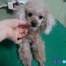 부산마이크로병원 이미지