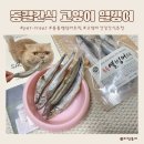 고양이열빙어 동결건조간식 추천 통통 열빙어 트릿 효능