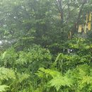 쌍치오룡마을 이미지