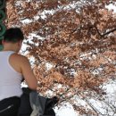 봄꽃에서첫눈까지 이미지