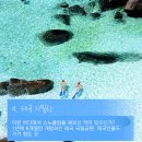 아름다운바다