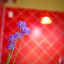 산수화펜션 이미지