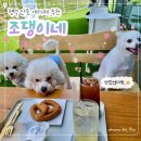 용성길 | [평택 안중 애견카페] 반려견과 함께한 &#34;조댕이네&#34; 방문 후기
