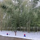 죽서루 화장실 이미지