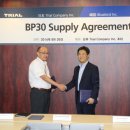 블루버드 이미지