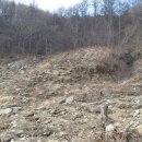 대상농장 이미지