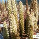 소두방횟집 이미지