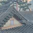 뫼동