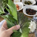 돼지복단지 이미지