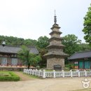 칠곡 금무봉나무고사리화석산지 이미지