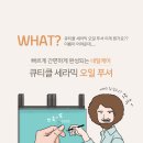 지니핀 이미지