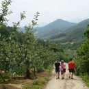 여문2로 이미지