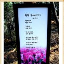 여수 영취산 진달래꽃 산행을 다녀와서 이미지