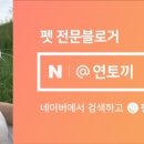 도그찹찹 이미지