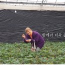 방일농장 이미지