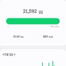 시뉴필름 | 포르투 3일차 :: 2. 아베이루, 포르투갈의 베니스. 구 아베이루 기차역, 몰리세이루 투어, Vera Cruz...
