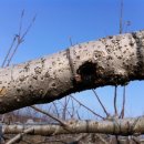 한빛농장 이미지