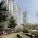 대현뜨란채경로당 | 대구 점집 직업 적성 고민 잘보는 천궁사