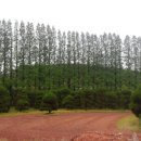 황등면-04 이미지