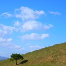 수억목장 이미지