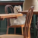 럭키3차아파트경로당 | 백신광공의 코로나 19백신 동절기 추가접종 맞고 돌아다닌 후기훅이