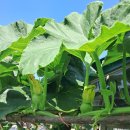 세븐일레븐 창동우성점 이미지