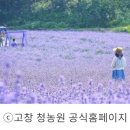 청동원 이미지