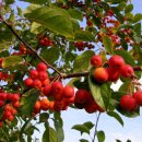 늘봄농장 이미지