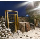 서쪽에서(귤이네) 이미지