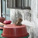 흰여울 마을 | 부산 영도 흰여울마을 카페 &#39;헤일르&#39; 솔직후기