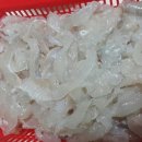 삼천포초장