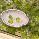 팡팡스토어몰 이미지