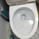 보라매동-24 이미지