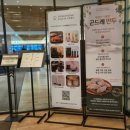 그린피아 | “모나 용평 그린피아콘도 조식 후기｜더 샬레 뷔페 솔직 리뷰!”