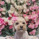 온블리살롱 이미지